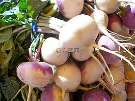 蘿卜,蔬菜,根