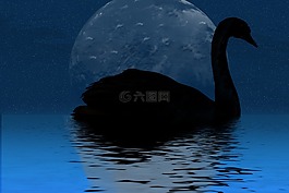 天鵝,湖,水