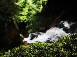青苔,風(fēng)景,水