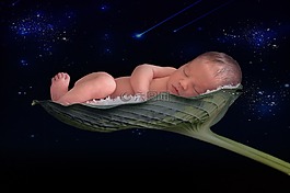 剛出生的嬰兒,葉,空間