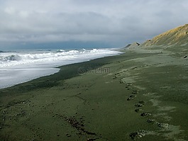 海岸線,阿拉斯加州,海岸