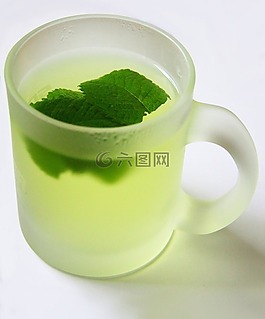 薄荷茶,t恤,薄荷
