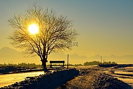 日落,abendstimmung,浪漫
