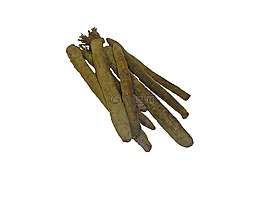 黑根,根,成分
