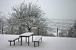 冬天,寒冬,雪