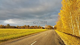 秋天,秋,金