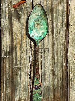 勺子,老,羊駝