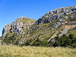 马略卡,山,树