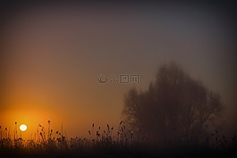 太陽,日出,霧