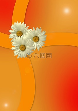 地圖,邀請(qǐng),背景