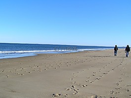 海灘,走,太陽