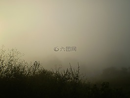 霧,日落,trasluz