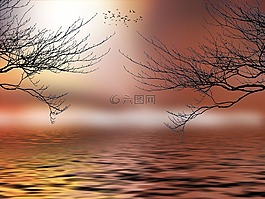 幻想,景觀,神秘