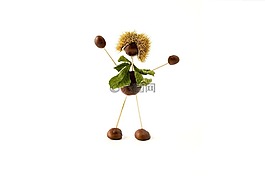 conker,圖,男孩