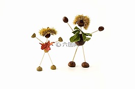 conker,板栗,橡子