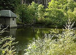 水库,坝,röthehenbachtalsperre