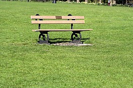 谷,花園,公園