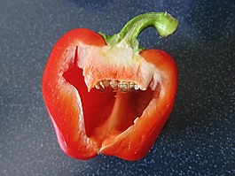 辣椒粉,面對,紅色