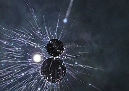 空間,電,光