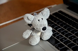 鼠標(biāo),毛絨玩具,計(jì)算機(jī)