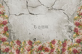 玫瑰,墻,裂縫