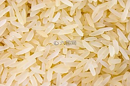 水稻,糧食,玉米
