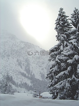 雪,樹,山