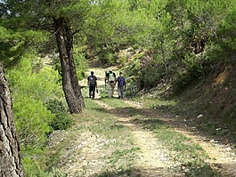 山,路徑,走