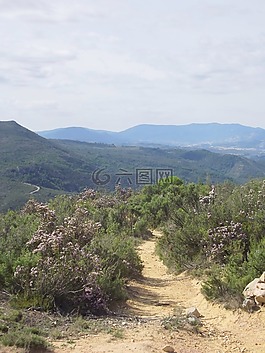 山径,山,路径