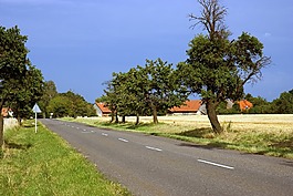 農(nóng)村,景觀,路