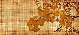 羊皮紙,紙,葉子