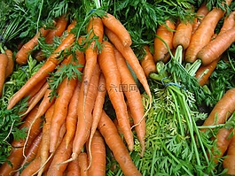胡蘿卜,蔬菜,有機(jī)