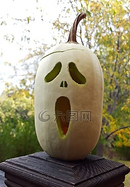 壁球,花園,園藝