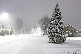 雪,冷,冬天