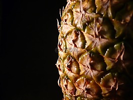 菠蘿,水果,異國情調(diào)
