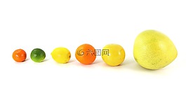 水果,食品,柑橘