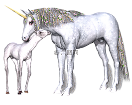獨(dú)角獸,幻想,仙女