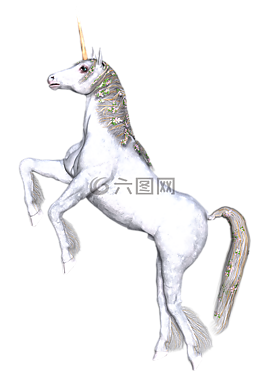 獨(dú)角獸,幻想,仙女
