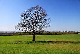 單,藍(lán)色,國(guó)家
