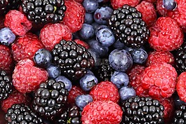背景,漿果,黑莓