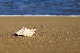 海灘,海岸,概念