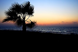 背景,海灘,美麗