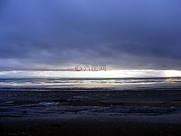 海灘,沙,陽光