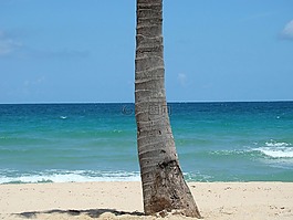 海灘,海洋,波