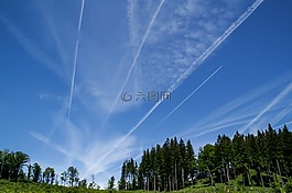 性質(zhì),森林,天空