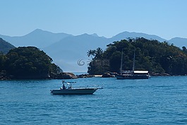 巴西,島,海