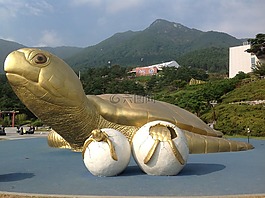 金龜,山清,大韓民國