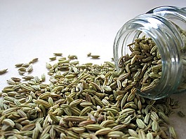 茴香,種子,香料