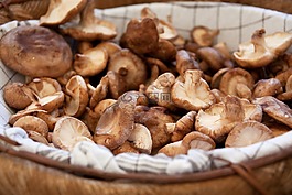 籃,棕色,美食