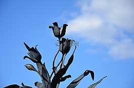 天空,雕塑,抽象